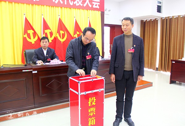 8投票现场.jpg