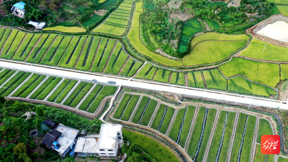 DJI_0095.jpg
