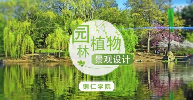 世界杯官网课程入选国家级一流本科课程
