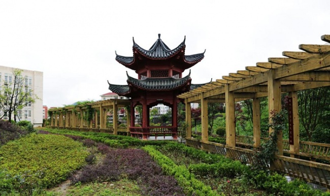 图片6.jpg