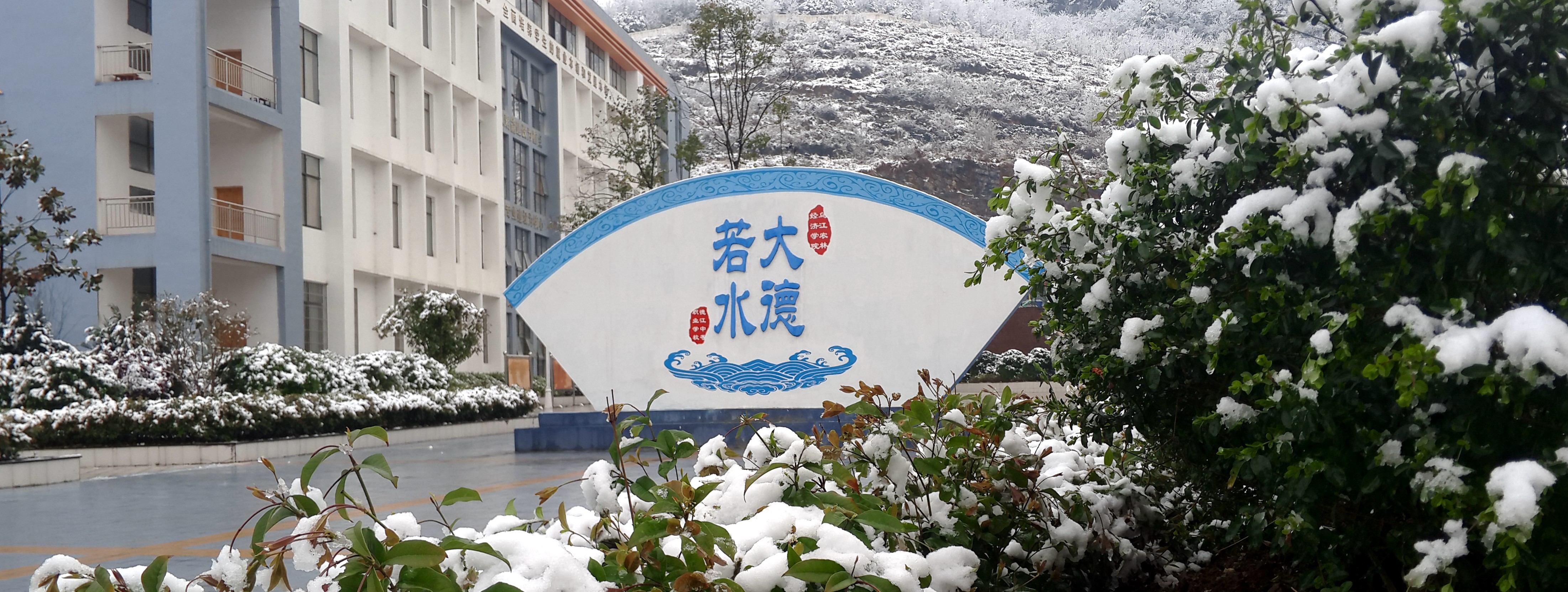 P60310-082039.jpg